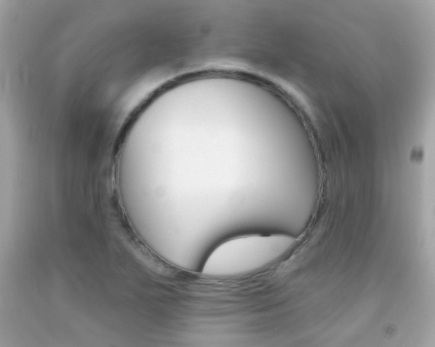 X0000092081271200709121058