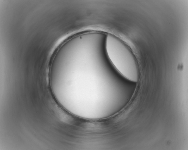 X0000092081272200709121058