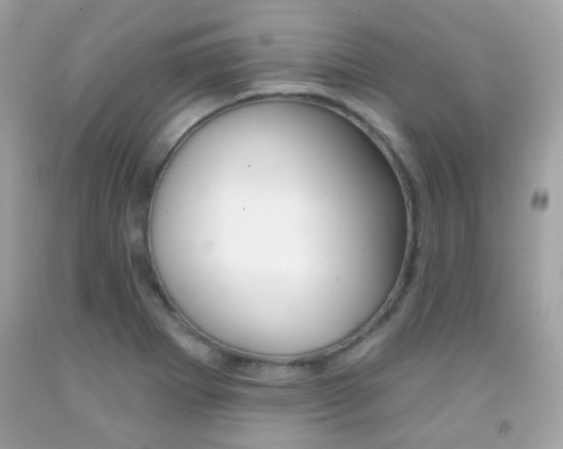 X0000092081273200709121058