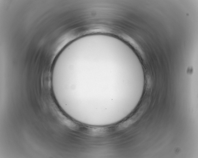 X0000092081274200709121058