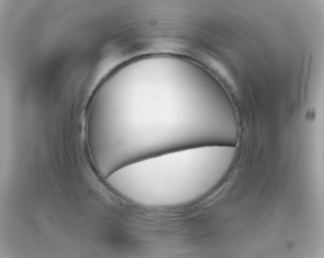 X0000092081275200709121058
