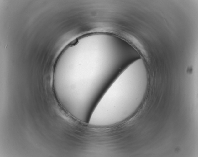 X0000092081276200709121058