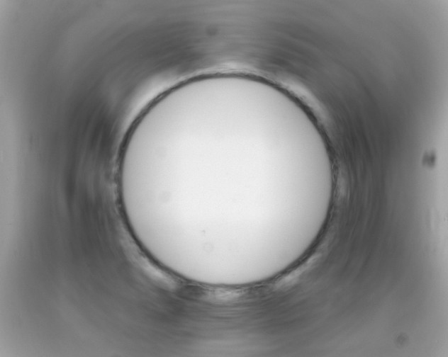 X0000092081278200709121058