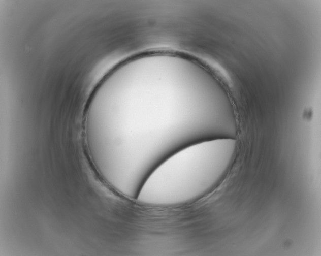 X0000092081279200709121058