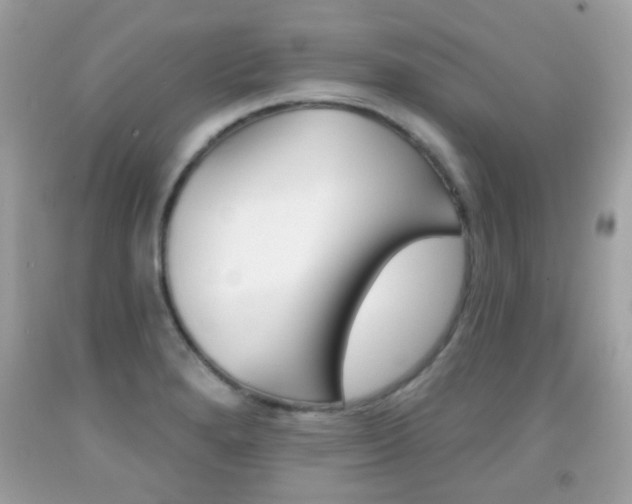X0000092081280200709121058