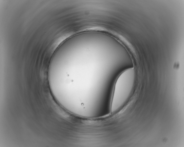 X0000092081281200709121058