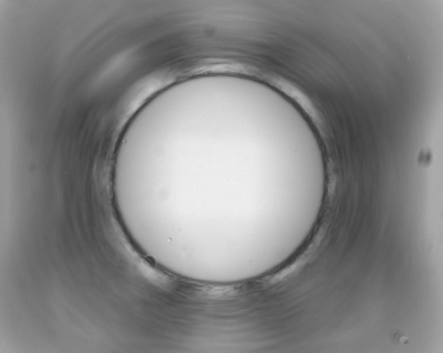 X0000092081282200709121058