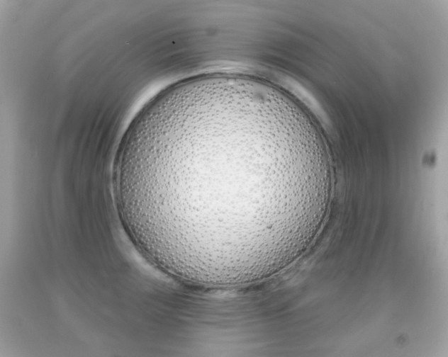 X0000092081283200709121058