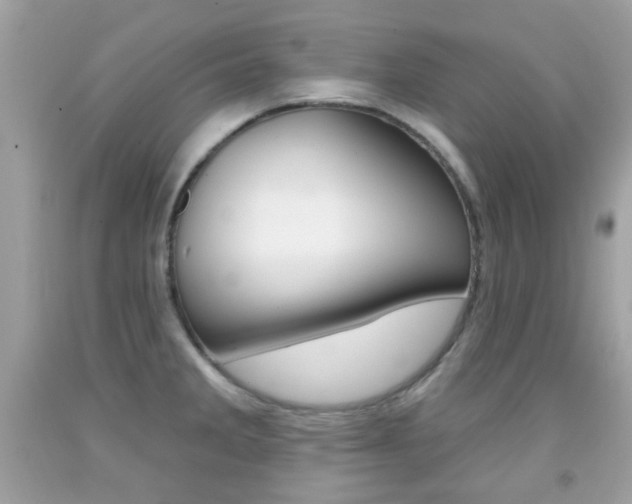 X0000092081285200709121058