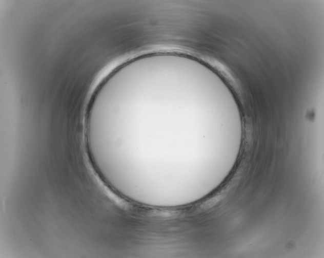 X0000092081286200709121058