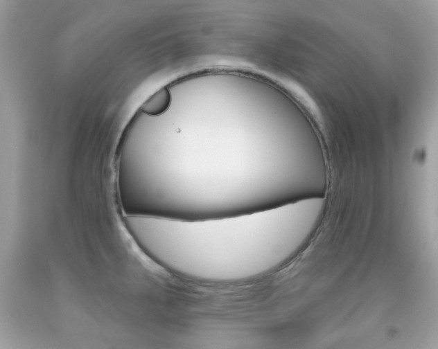 X0000092081287200709121058
