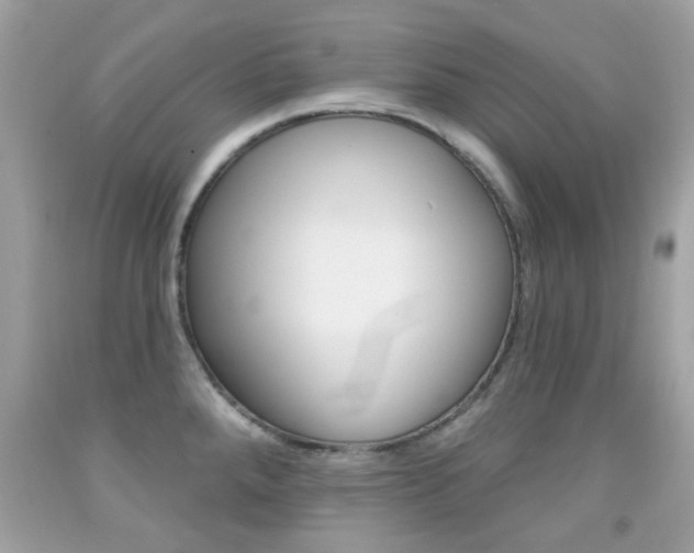 X0000092081288200709121058