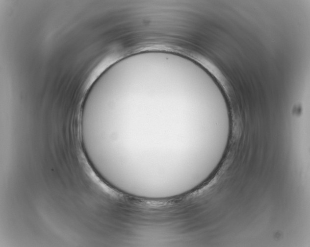 X0000092081290200709121058