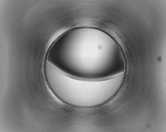 X0000092081293200709121058