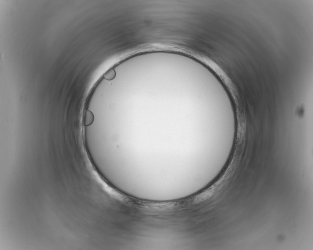 X0000092081294200709121058