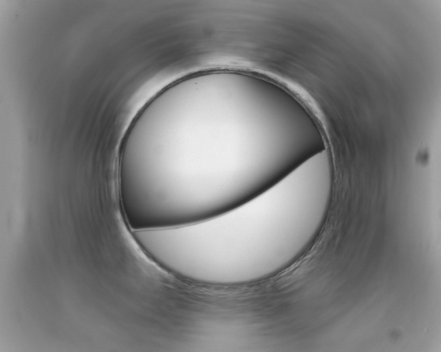 X0000092081295200709121058