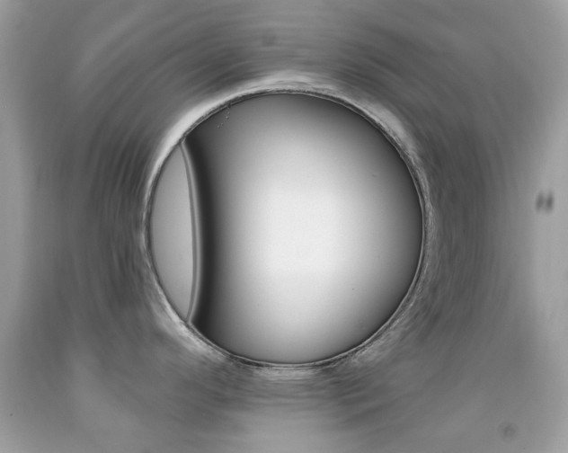X0000092081296200709121058
