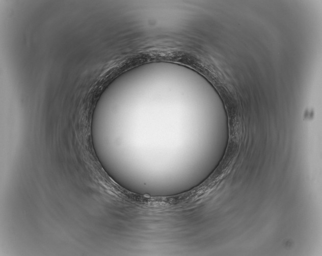 X0000092081297200709121057