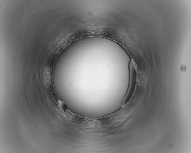 X0000092081298200709121057