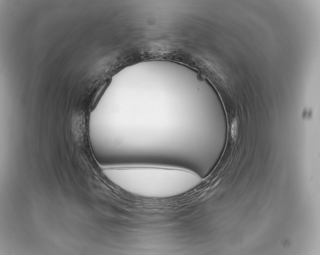 X0000092081299200709121057