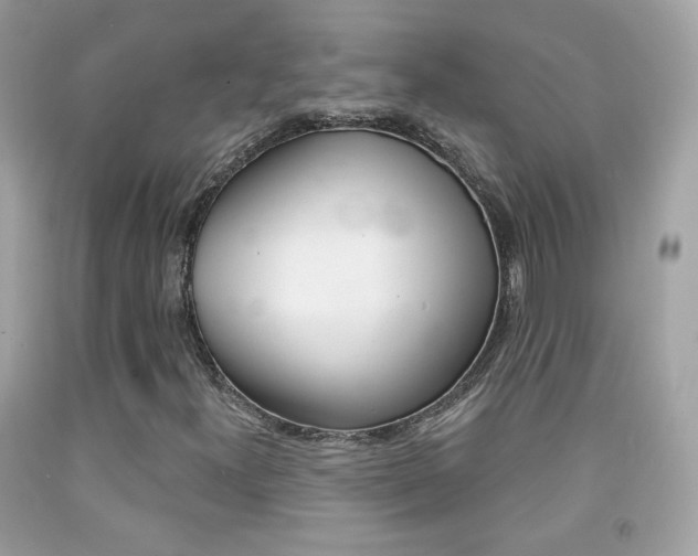 X0000092081300200709121057