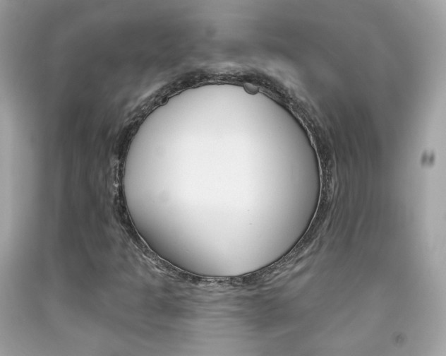X0000092081301200709121057