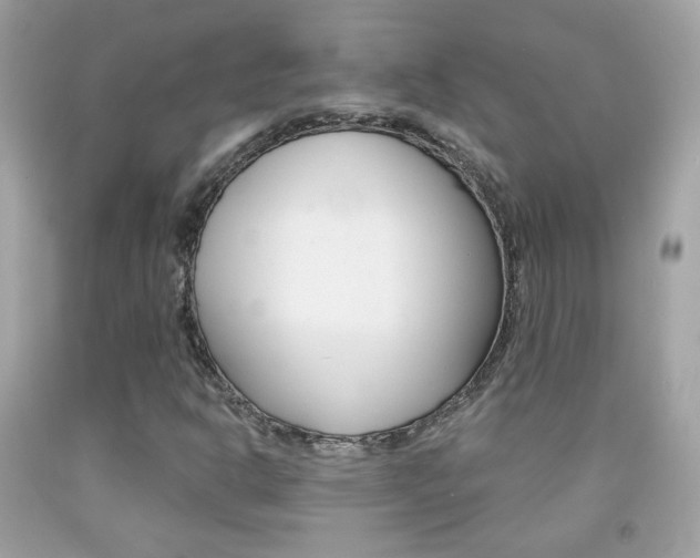 X0000092081302200709121057