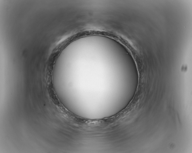 X0000092081303200709121057