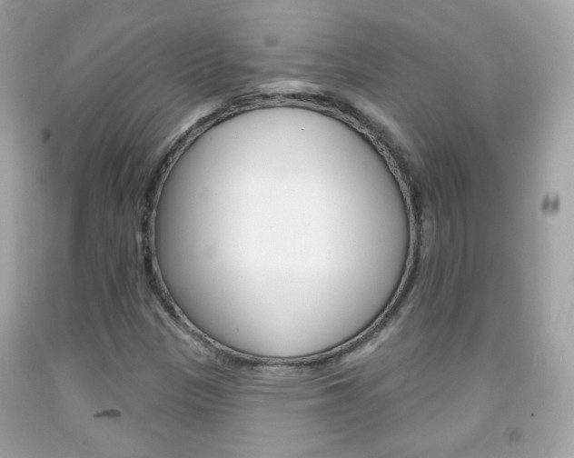 X0000092081305200709121058