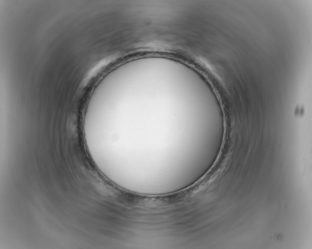 X0000092081307200709121058