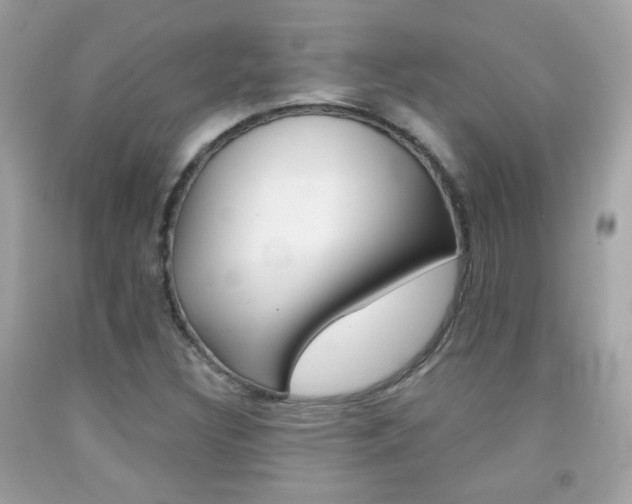 X0000092081308200709121058