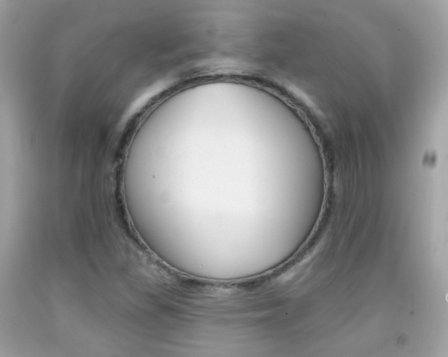 X0000092081309200709121058