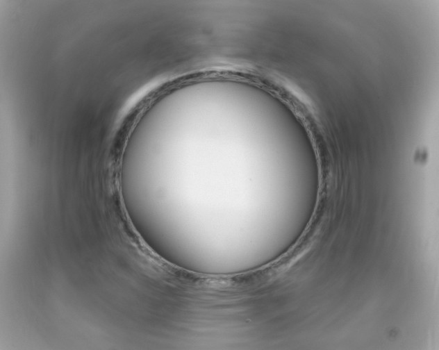 X0000092081310200709121058