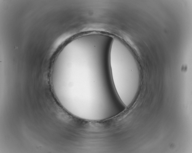 X0000092081312200709121058
