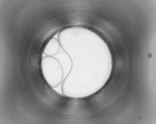 X0000092081314200709121058