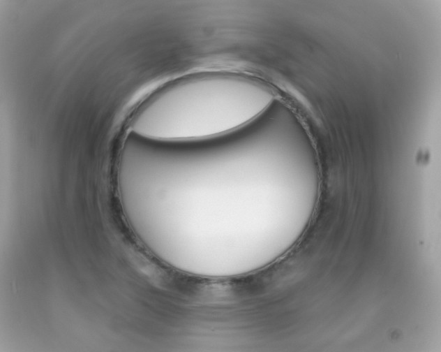 X0000092081315200709121058