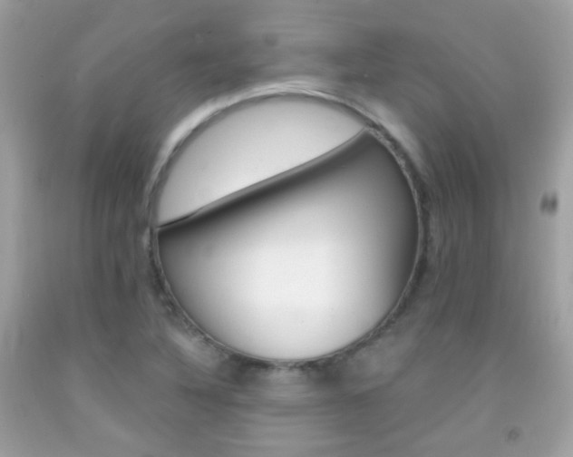 X0000092081316200709121058