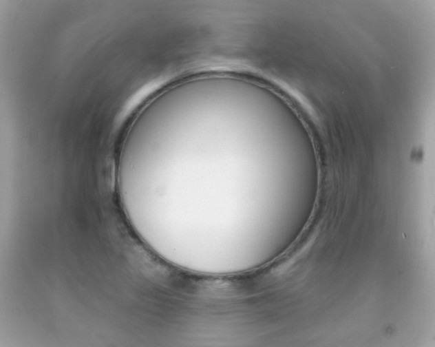 X0000092081317200709121058