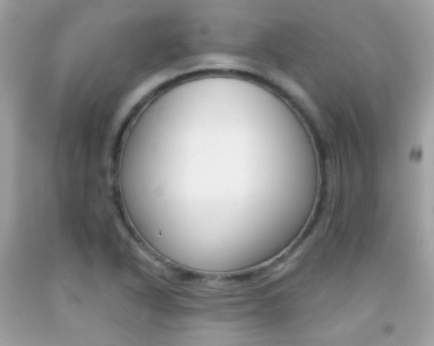 X0000092081318200709121058
