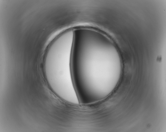 X0000092081319200709121058