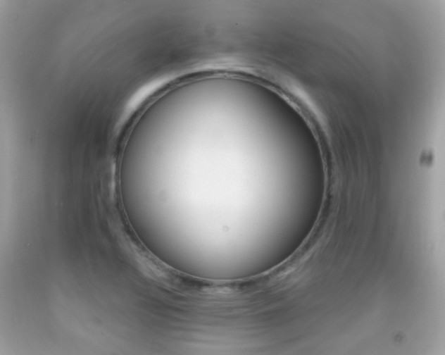 X0000092081320200709121058