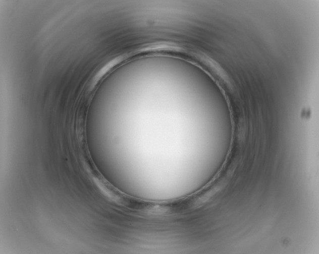 X0000092081321200709121058