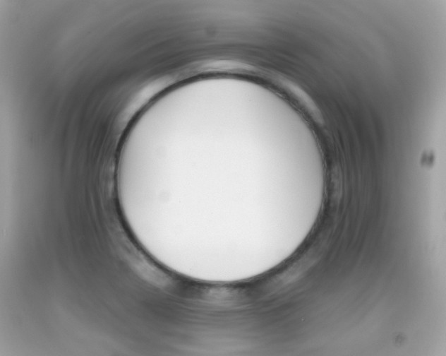 X0000092081322200709121058