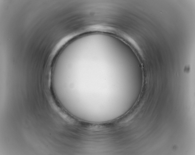 X0000092081323200709121058