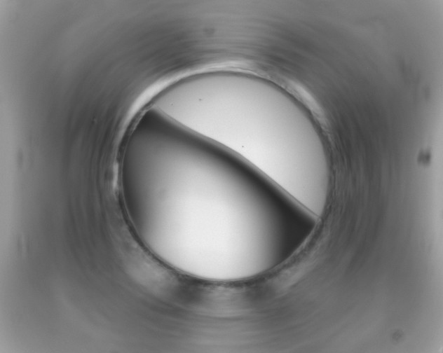 X0000092081324200709121058
