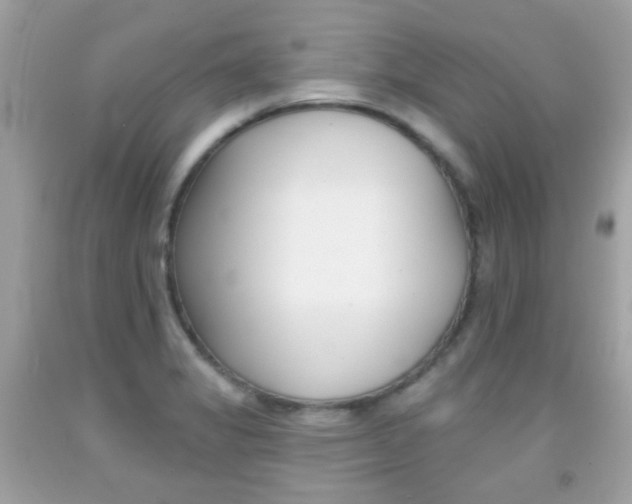 X0000092081325200709121058