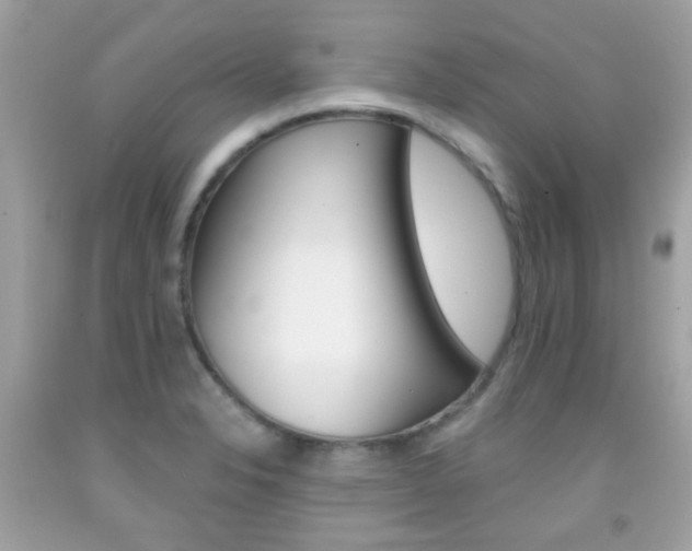 X0000092081326200709121058