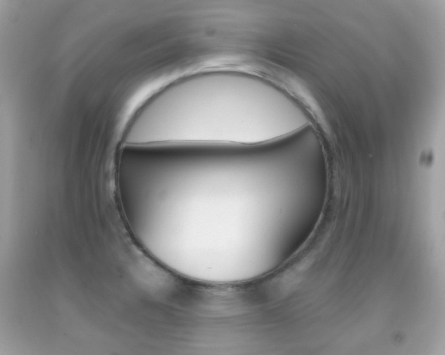 X0000092081328200709121058