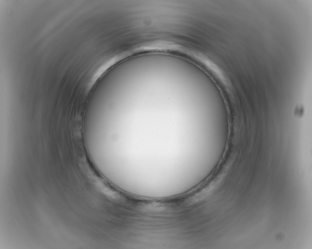 X0000092081329200709121058