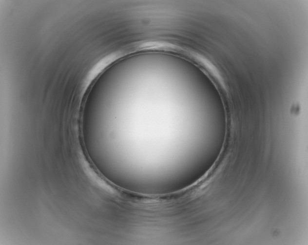 X0000092081330200709121058